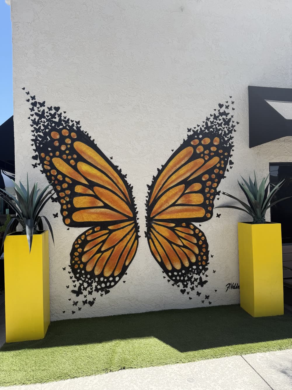 Butterfly wall art in the interior